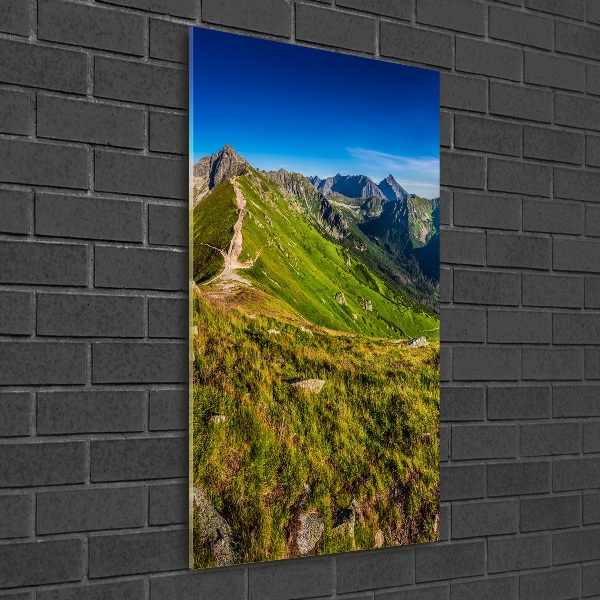 Staand plexiglas foto Tatra-gebergte