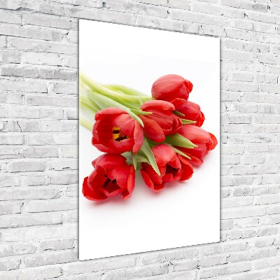 Staand foto in plexiglas Rode tulpen