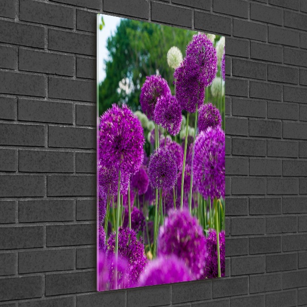 Staand plexiglas foto Knoflookbloemen