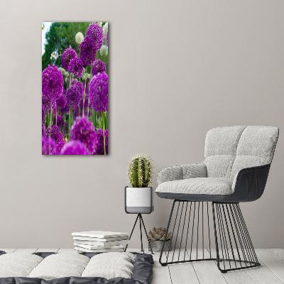 Staand plexiglas foto Knoflookbloemen