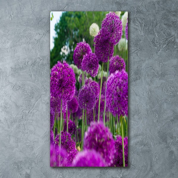 Staand plexiglas foto Knoflookbloemen