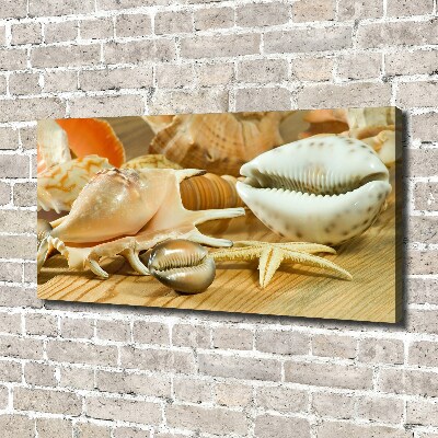 Canvas foto Schelpen op hout