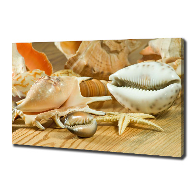 Canvas foto Schelpen op hout