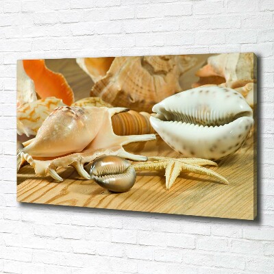 Canvas foto Schelpen op hout