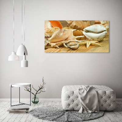 Canvas foto Schelpen op hout