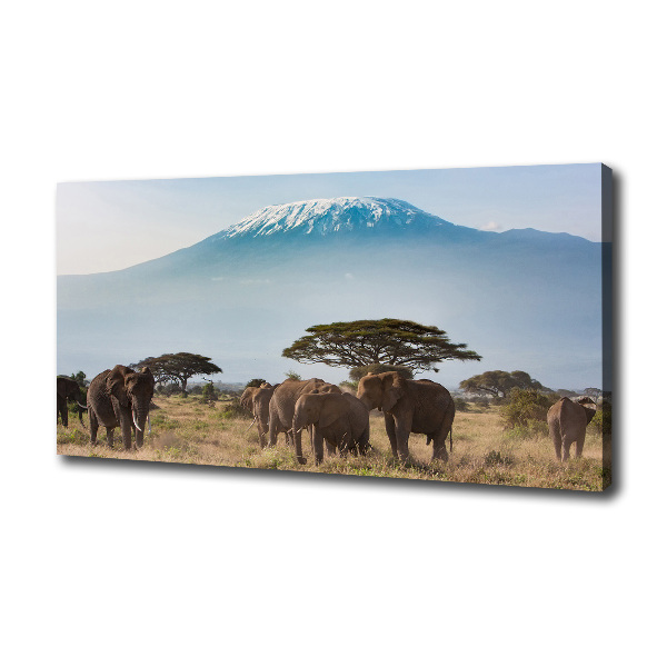 Canvas foto Kilimanjaro-olifanten
