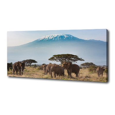Canvas foto Kilimanjaro-olifanten