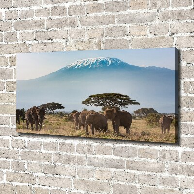 Canvas foto Kilimanjaro-olifanten