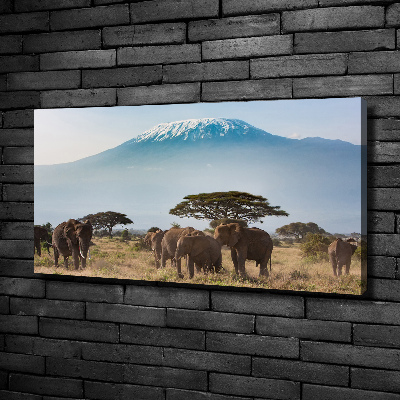 Canvas foto Kilimanjaro-olifanten