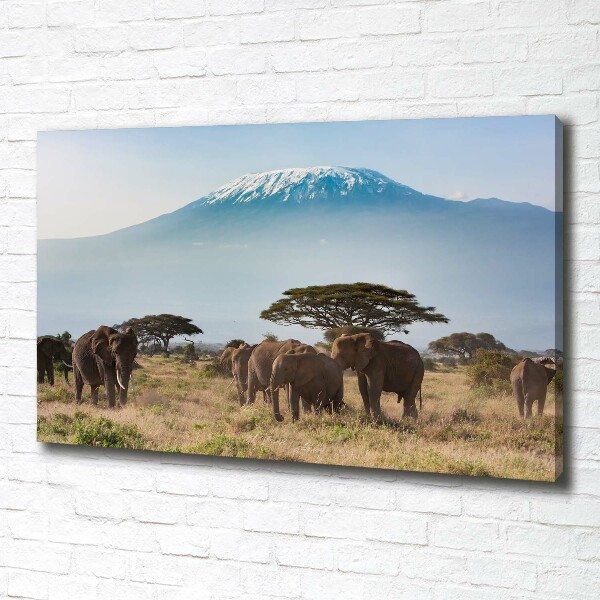 Canvas foto Kilimanjaro-olifanten