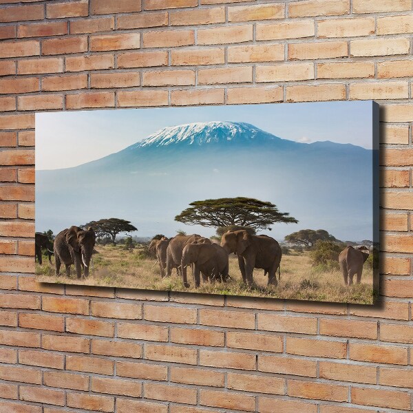 Canvas foto Kilimanjaro-olifanten