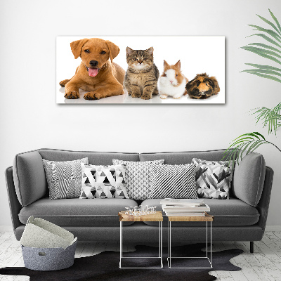 Canvas schilderij Hond en kat