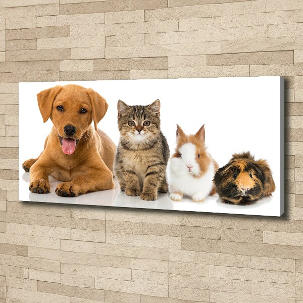 Canvas schilderij Hond en kat