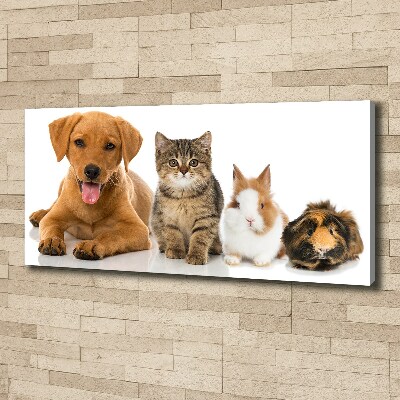 Canvas schilderij Hond en kat