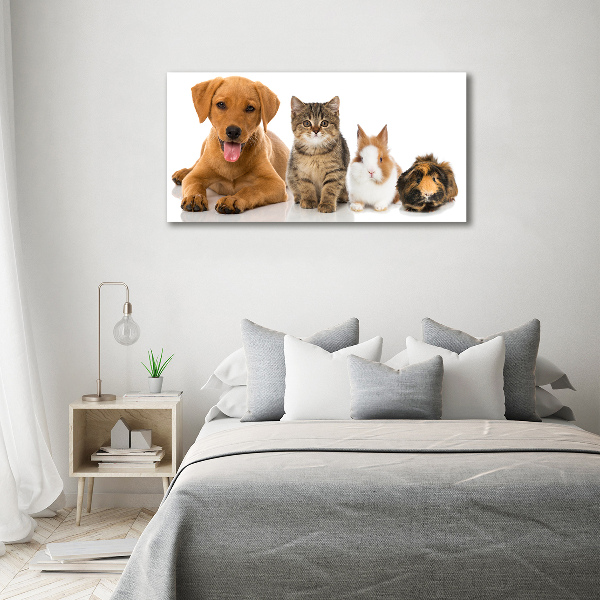 Canvas schilderij Hond en kat
