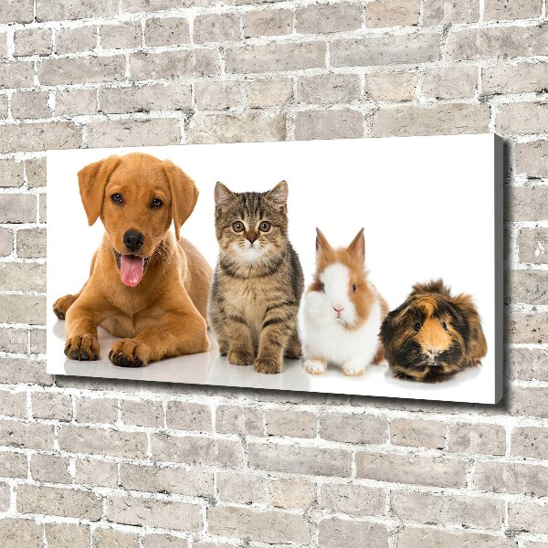 Canvas schilderij Hond en kat