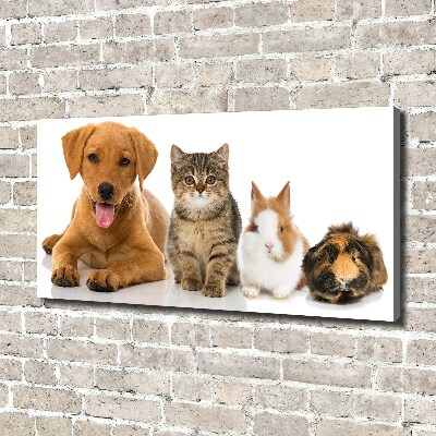 Canvas schilderij Hond en kat