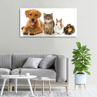 Canvas schilderij Hond en kat
