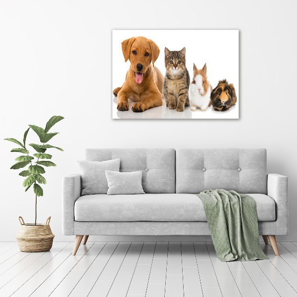 Canvas schilderij Hond en kat