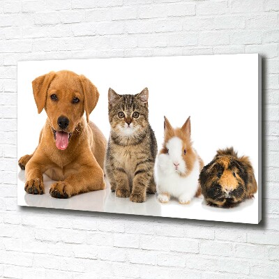 Canvas schilderij Hond en kat