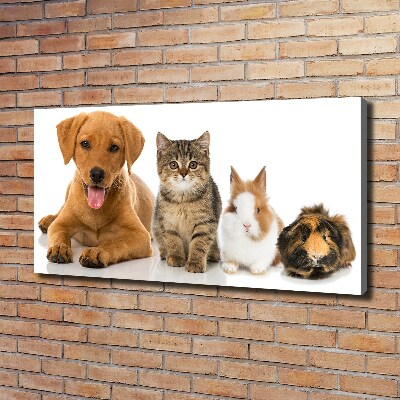 Canvas schilderij Hond en kat
