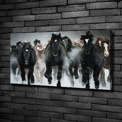 Schilderij op canvas Paarden in galop