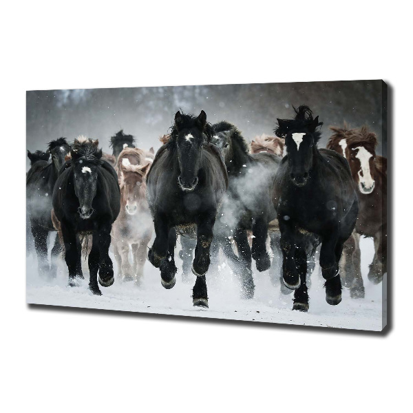 Schilderij op canvas Paarden in galop