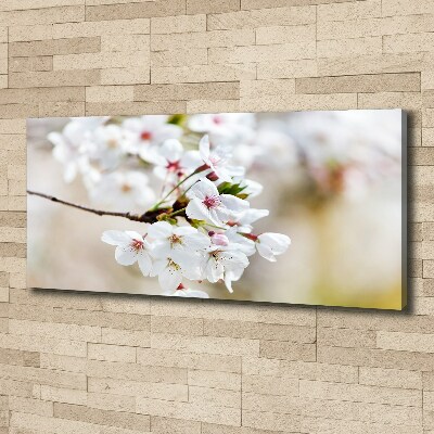 Foto op canvas Kersenbloesems