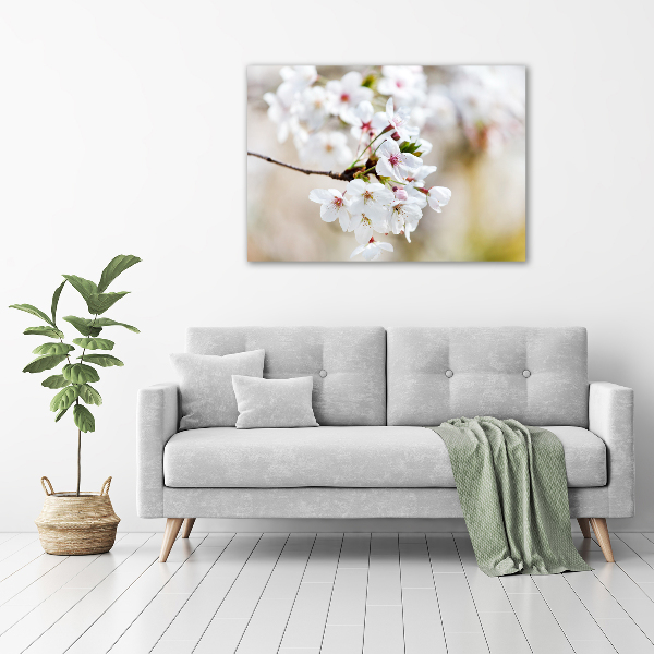 Foto op canvas Kersenbloesems