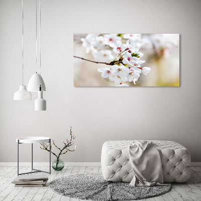 Foto op canvas Kersenbloesems