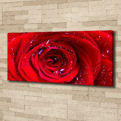 Canvas foto Roosbloem