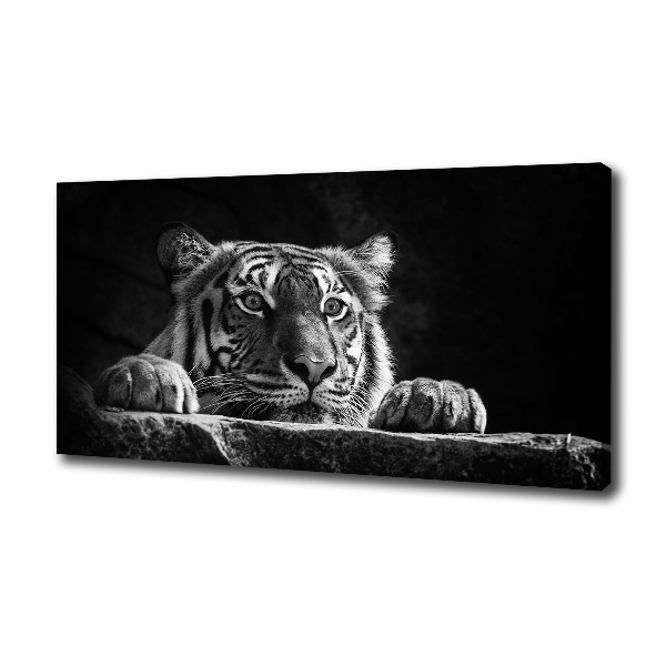 Foto canvas Tijger