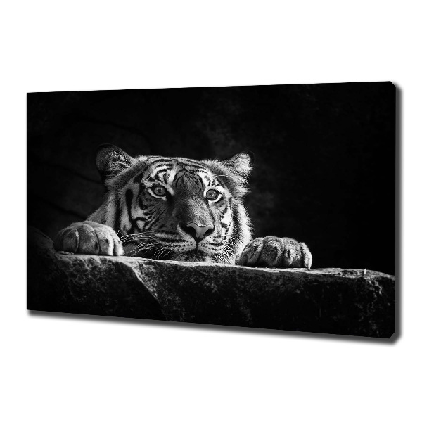 Foto canvas Tijger