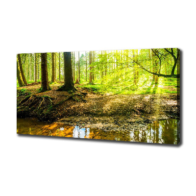 Canvas foto Zonnestralen in het bos