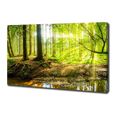 Canvas foto Zonnestralen in het bos