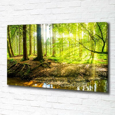 Canvas foto Zonnestralen in het bos