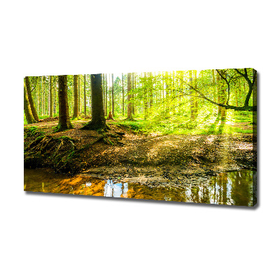 Canvas foto Zonnestralen in het bos