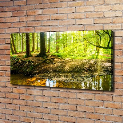 Canvas foto Zonnestralen in het bos