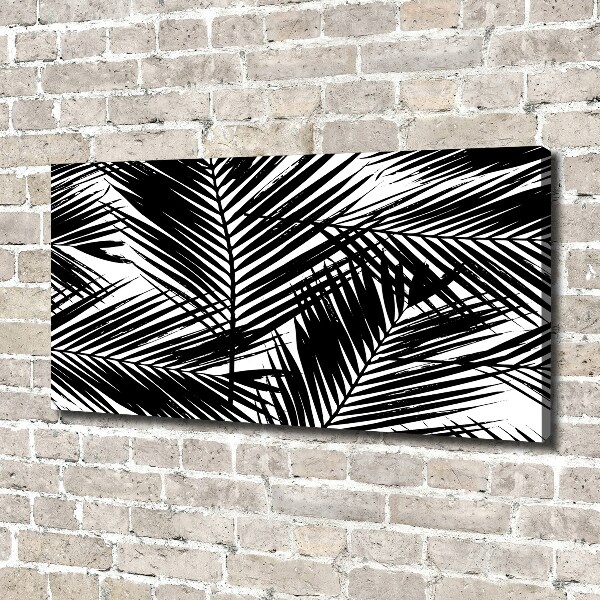 Foto op canvas Palmbladeren