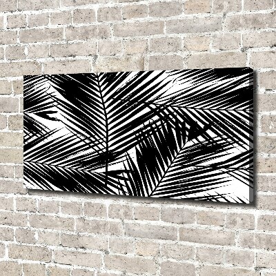 Foto op canvas Palmbladeren