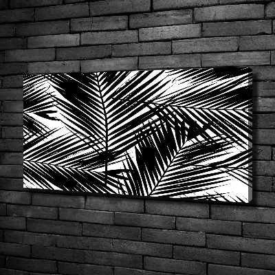 Foto op canvas Palmbladeren