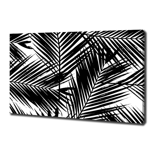 Foto op canvas Palmbladeren