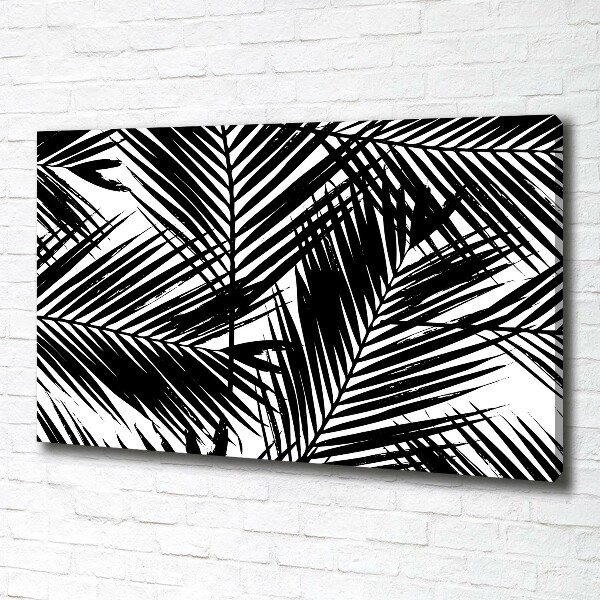 Foto op canvas Palmbladeren