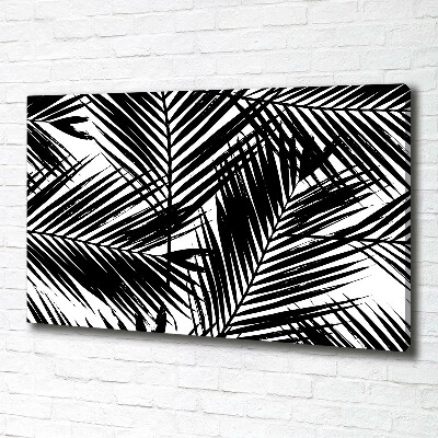 Foto op canvas Palmbladeren