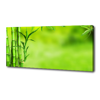 Duży foto obraz na ścianę canvas Bambus