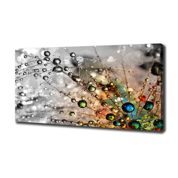 Foto canvas Paardenbloemzaden