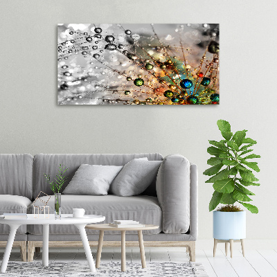 Foto canvas Paardenbloemzaden