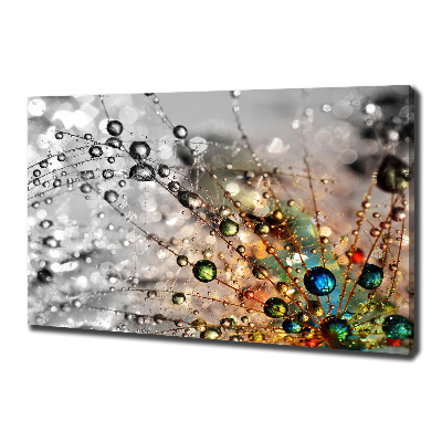 Foto canvas Paardenbloemzaden