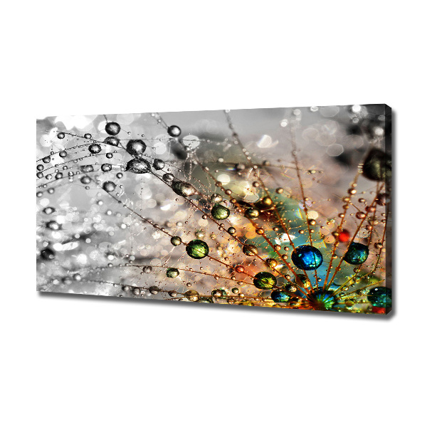 Foto obraz na płótnie Nasiona dmuchawca