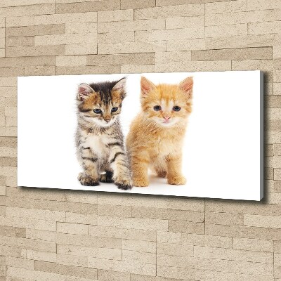Foto op canvas Bruine en rosse kat